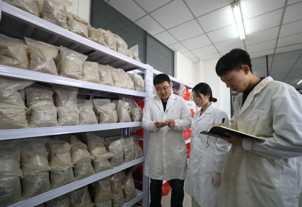 新华全媒＋丨探访成人漫畫
土肥高效利用国家工程研究中心